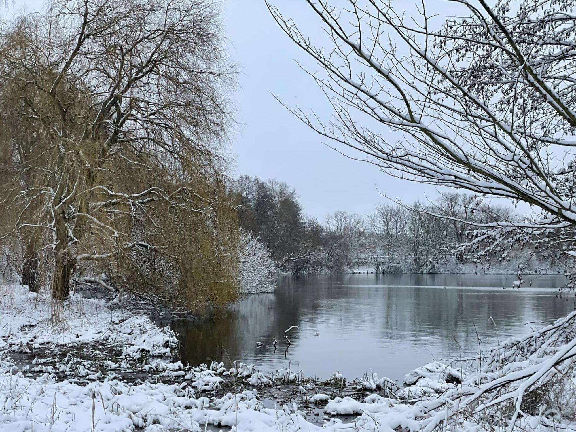 Flat In Eutin On The Kleiner Eutiner See Lake Apartment Exterior foto