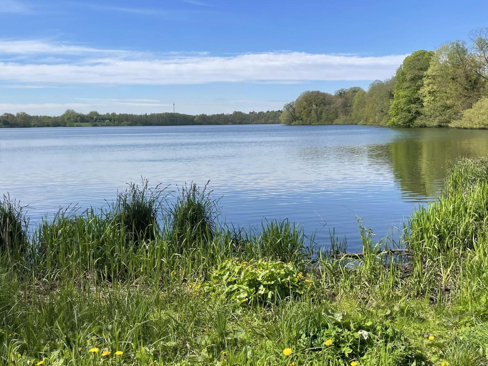 Flat In Eutin On The Kleiner Eutiner See Lake Apartment Exterior foto